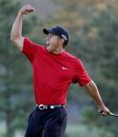 Tiger Woods Picture