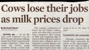 funny-headlines-4