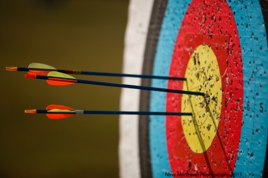 GOALS-ON-TARGET
