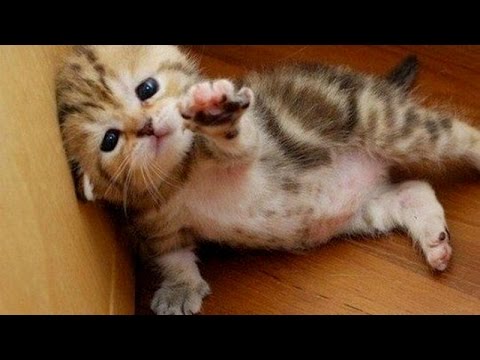 I'm so cute!